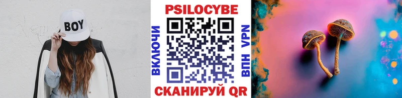 где купить наркоту  даркнет как зайти  Псилоцибиновые грибы Magic Shrooms  Боготол 